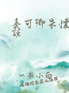 秦可卿朱怀镜小说