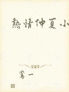 热情仲夏小说