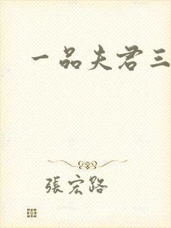 一品夫君三流妻