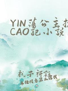 YIN荡公主挨CAO记小说