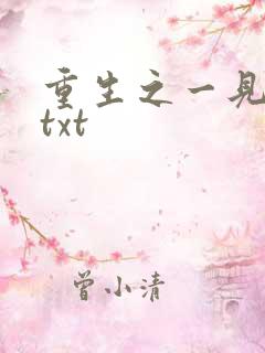 重生之一见倾心txt