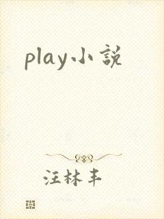 play小说