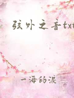 弦外之音txt