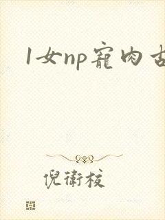 1女np宠肉古
