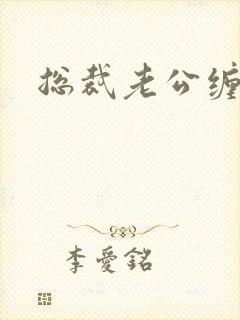 总裁老公缠上门