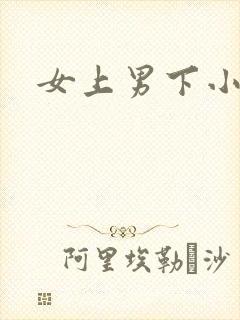 女上男下小说