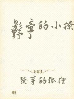 影帝的小撩精太野了