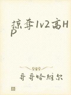 掠夺1v2高HP