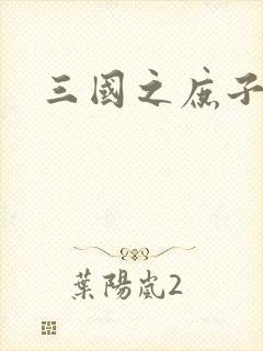 三国之庶子称雄