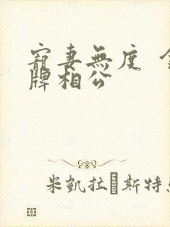 宠妻无度  金牌相公