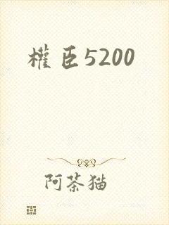 权臣5200