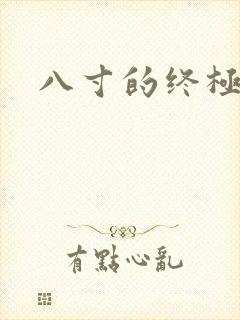 八寸的终极凶器