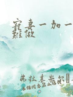 宠妻一加一老婆难做