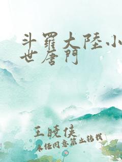 斗罗大陆小说绝世唐门