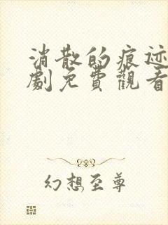 消散的痕迹电视剧免费观看完整版