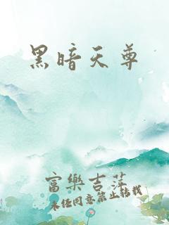 黑暗天尊