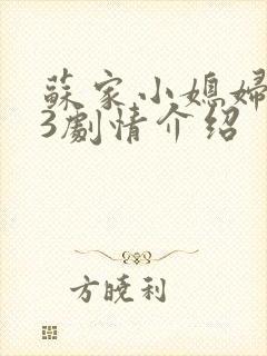 苏家小媳妇1v3剧情介绍