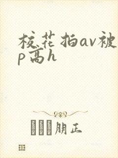 校花拍av被np高h