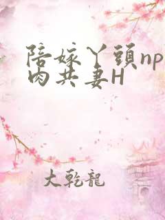 陪嫁丫头np全肉共妻H