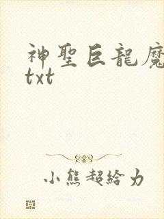 神圣巨龙魔法师txt