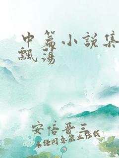 中篇小说集随风飘荡