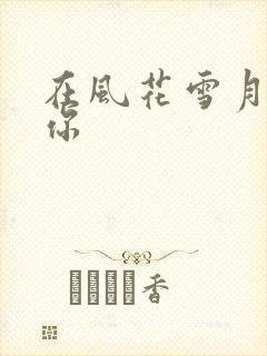 在风花雪月里等你