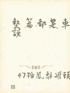 整篇都是车的小说