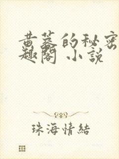 黄蓉的秘密 笔趣阁 小说