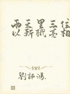 两天里三位将军以新职亮相