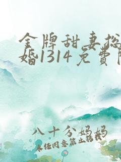 金牌甜妻总裁宠婚1314免费阅读