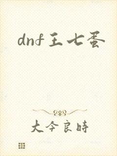 dnf王七蛋