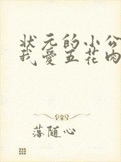 状元的小公主(我爱五花肉)