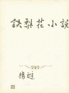 铁梨花小说