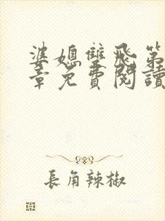 婆媳双飞第11章免费阅读