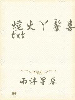 烧火丫鬟喜洋洋txt