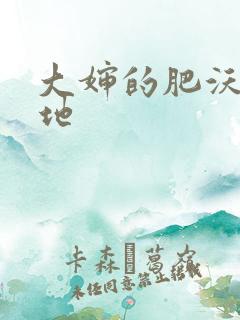 大婶的肥沃的土地