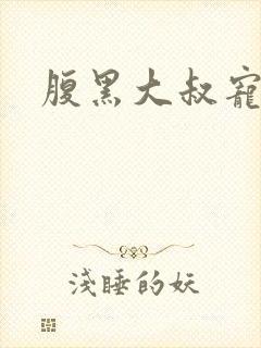 腹黑大叔宠小妻