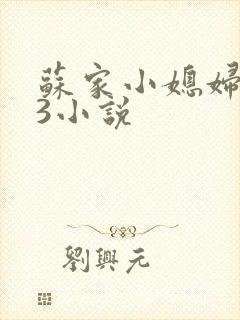 苏家小媳妇1V3小说