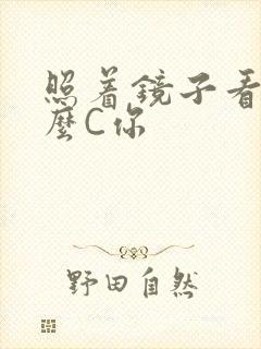 照着镜子看我怎么C你