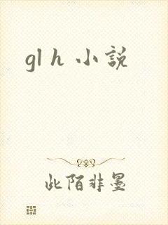 gl h 小说