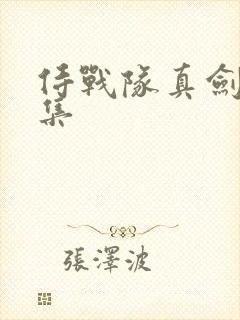 侍战队真剑者全集