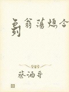 色翁荡熄合集系列