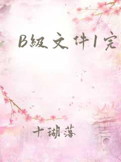 B级文件1完整