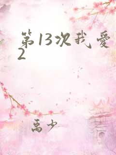 第13次我爱你2