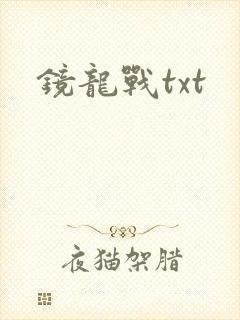 镜龙战txt