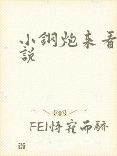 小钢炮来看我小说