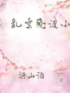 乱云飞渡小说