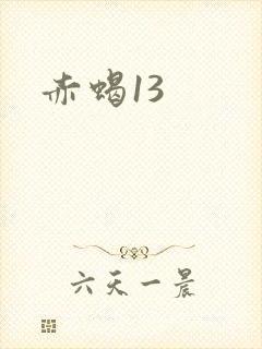 赤蝎13