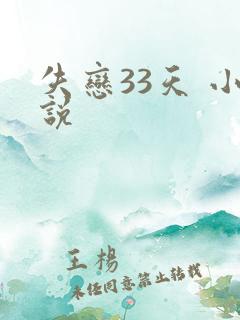 失恋33天 小说