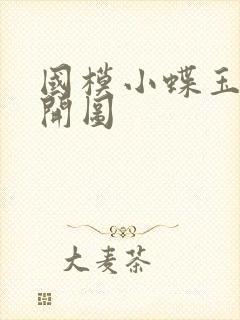 国模小蝶玉门大开图